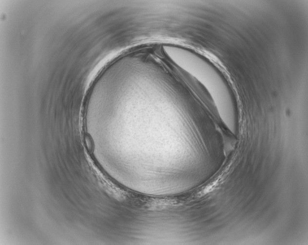 X0000054461183200508191654