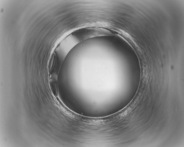 X0000054461184200508191654