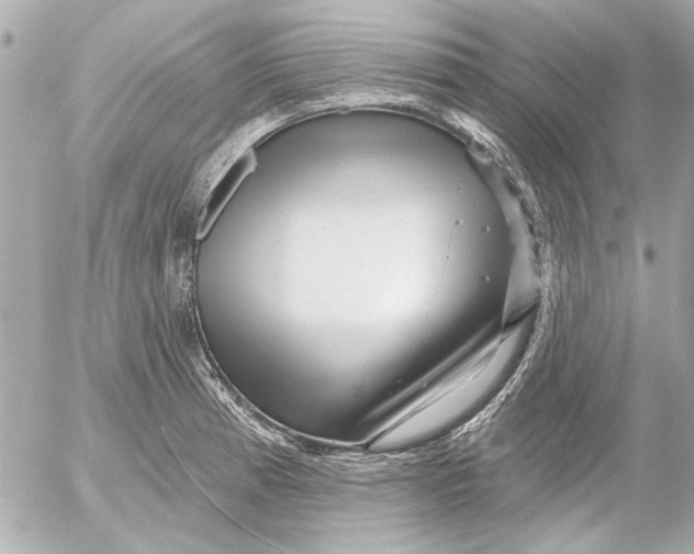 X0000054461185200508191654