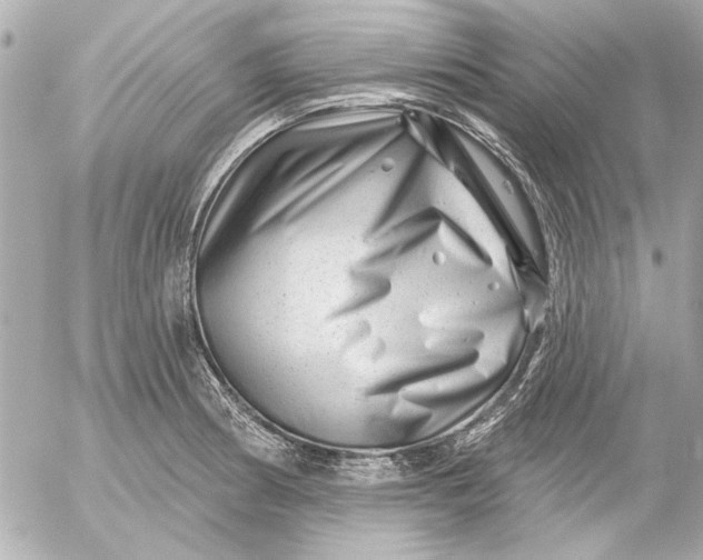 X0000054461186200508191654