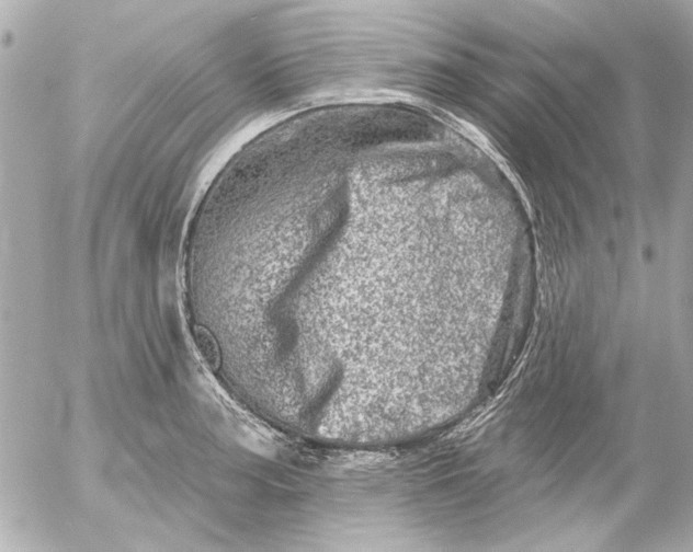 X0000054461187200508191654