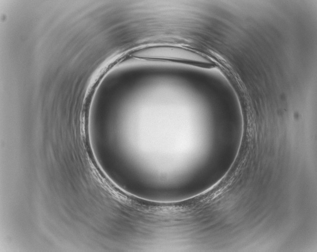 X0000054461188200508191654