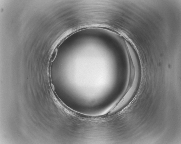 X0000054461189200508191654