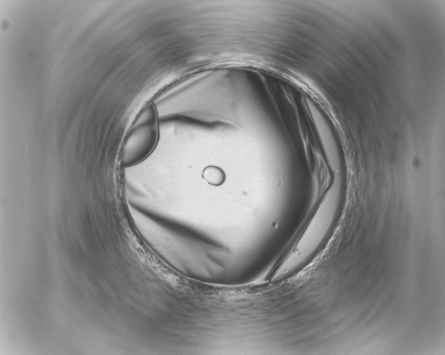 X0000054461190200508191654