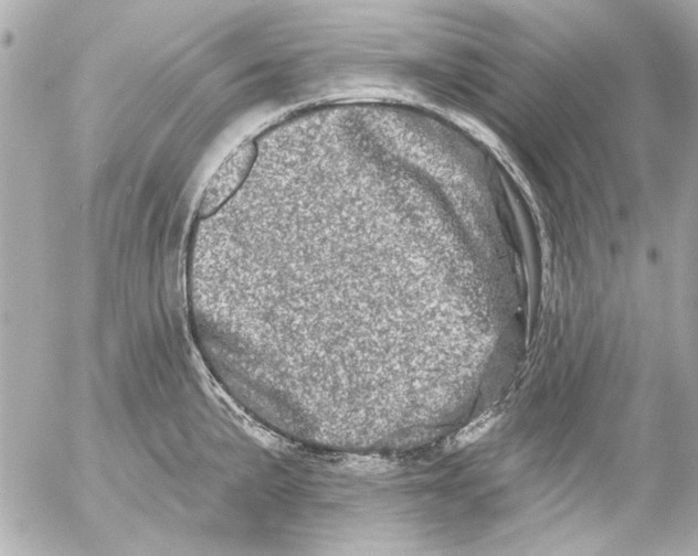 X0000054461191200508191654