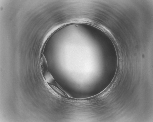 X0000054461192200508191654