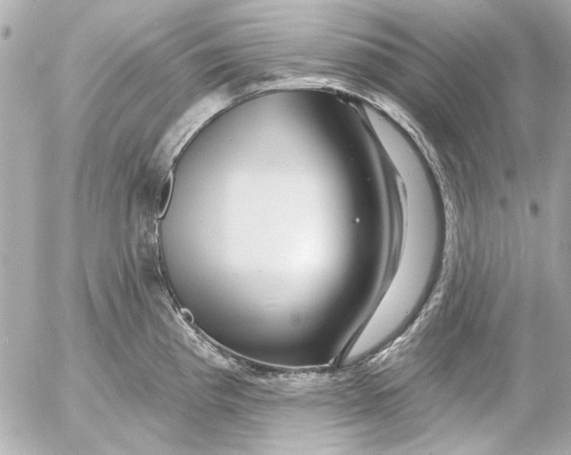 X0000054461193200508191654