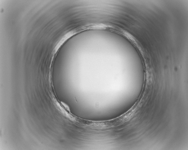 X0000054461194200508191654