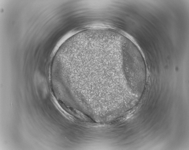 X0000054461195200508191654