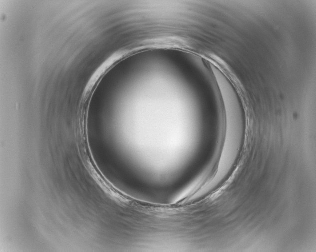 X0000054461196200508191654