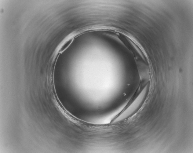 X0000054461197200508191654