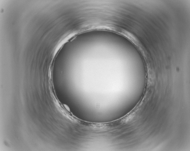 X0000054461198200508191654