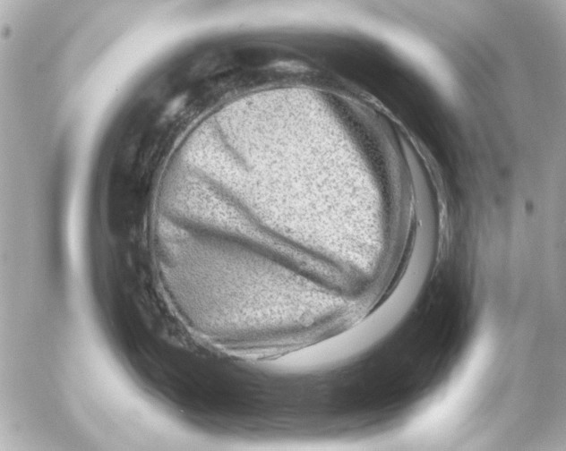 X0000054461199200508191654