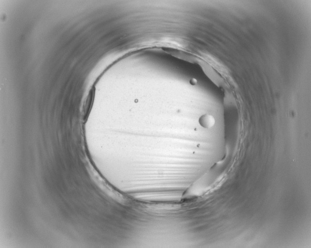 X0000054461200200508191654