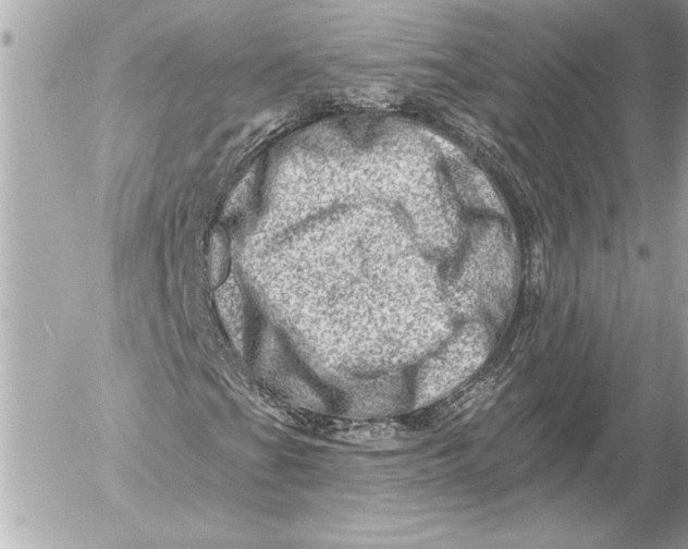 X0000054461201200508191653