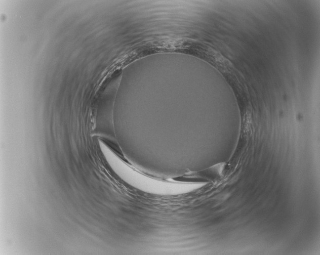 X0000054461202200508191653