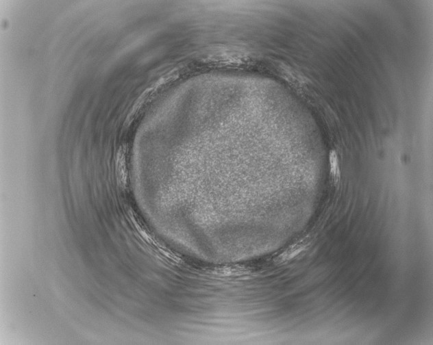 X0000054461203200508191653