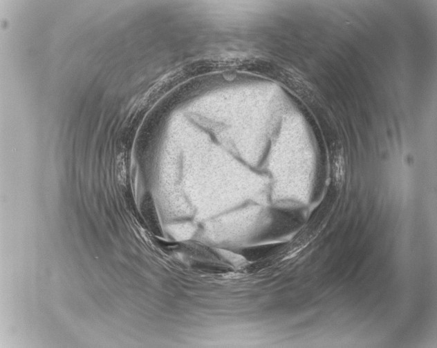 X0000054461204200508191653