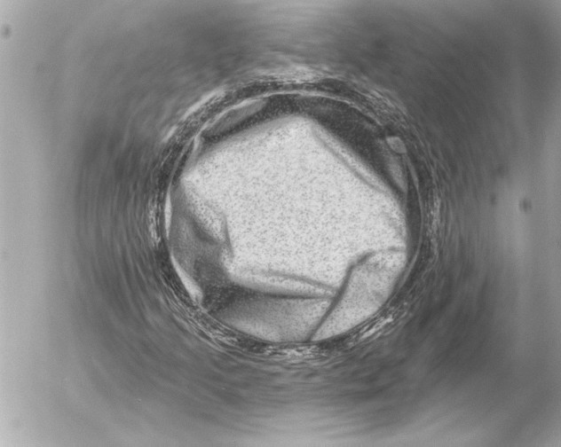 X0000054461205200508191653