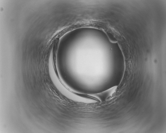 X0000054461206200508191653