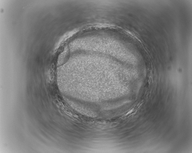 X0000054461207200508191653