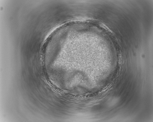 X0000054461208200508191654