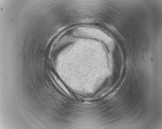 X0000054461209200508191654