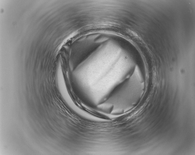 X0000054461210200508191654