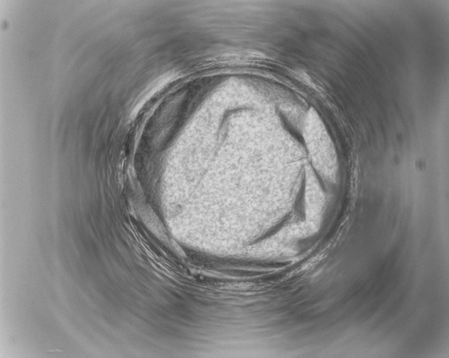 X0000054461211200508191654