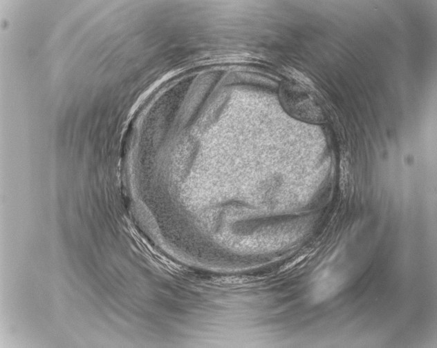 X0000054461212200508191654