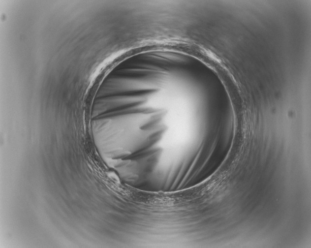 X0000054461214200508191654