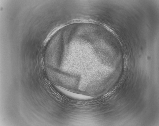 X0000054461215200508191654