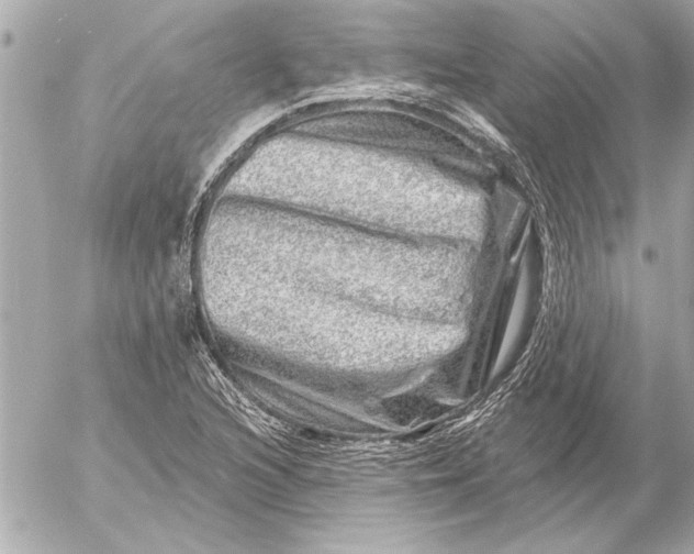 X0000054461216200508191654