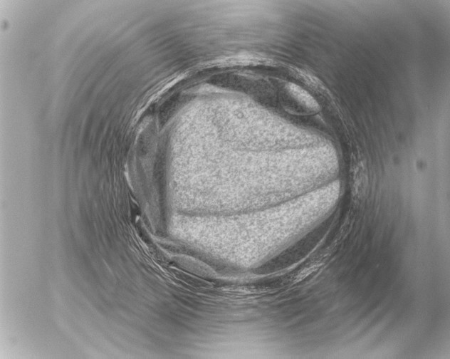 X0000054461217200508191654