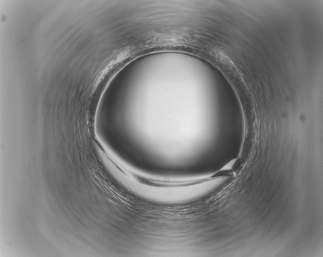 X0000054461218200508191654