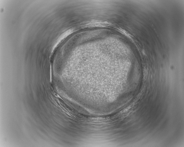 X0000054461219200508191654