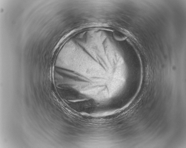 X0000054461220200508191654