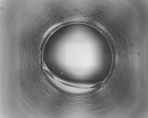 X0000054461222200508191654