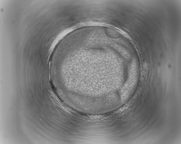 X0000054461223200508191654