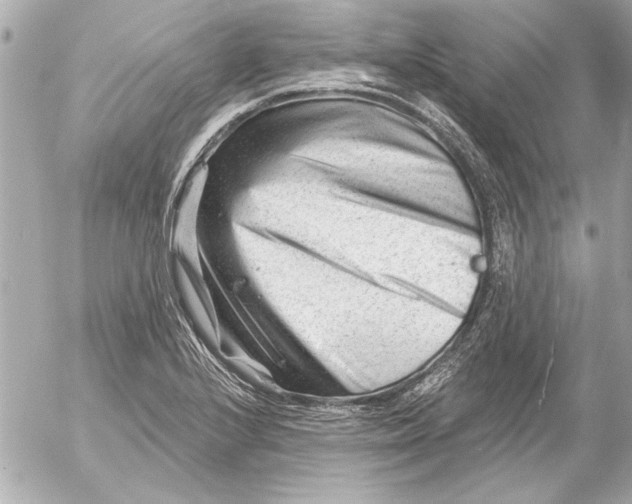 X0000054461224200508191654