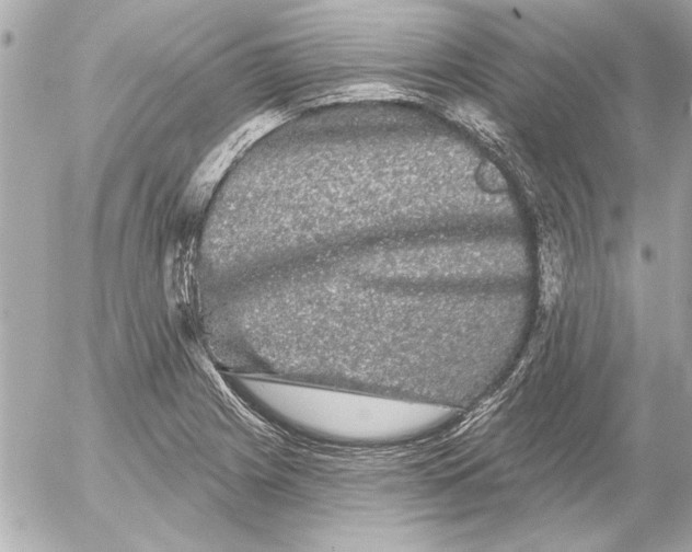 X0000054461225200508191654