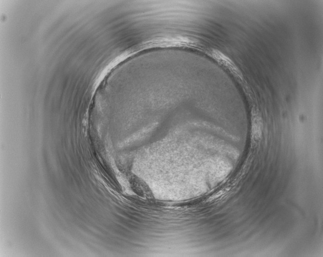 X0000054461226200508191654