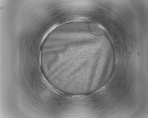 X0000054461227200508191654