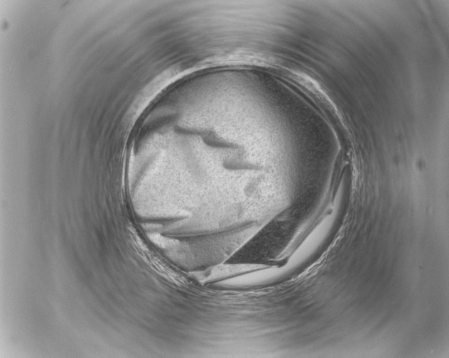 X0000054461228200508191654