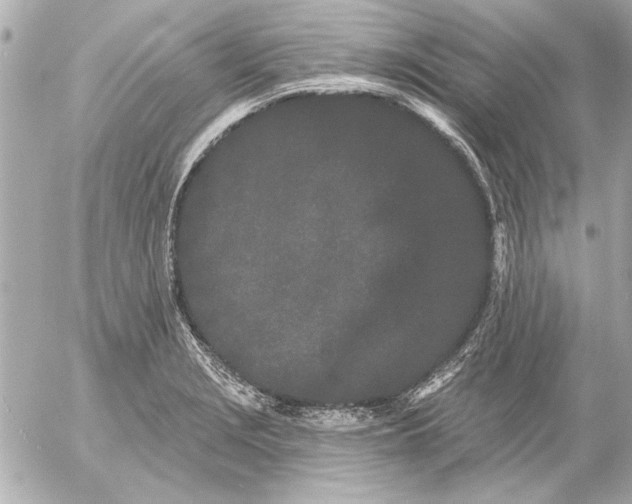 X0000054461229200508191654