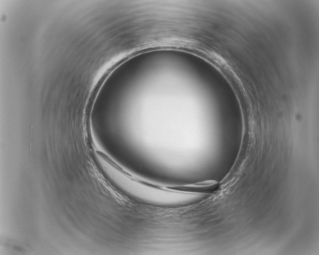 X0000054461230200508191654