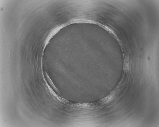 X0000054461231200508191654