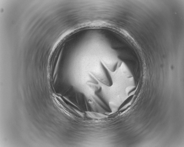 X0000054461232200508191654