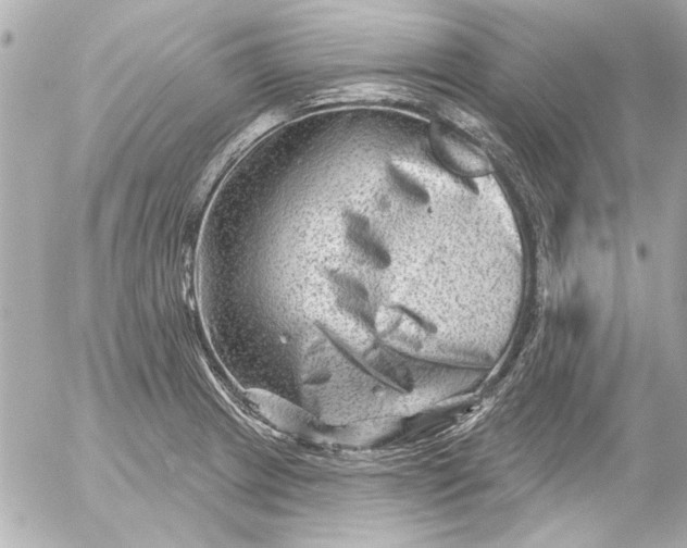 X0000054461233200508191654