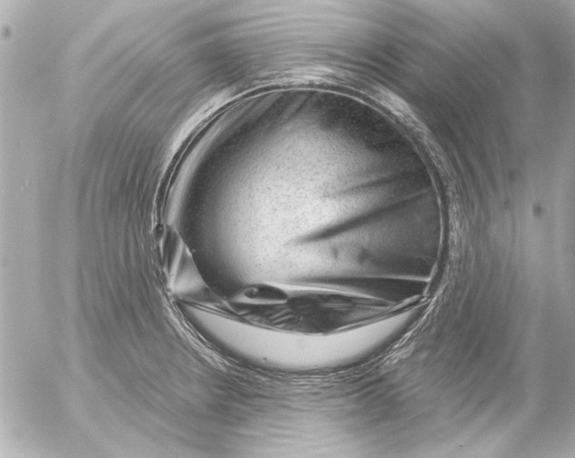 X0000054461234200508191654